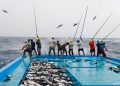 The Lifeline of the Maldives: A Historical Journey Through Fishing