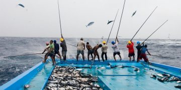 The Lifeline of the Maldives: A Historical Journey Through Fishing