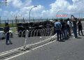 Pickup Overturns on Sinamale’ Bridge Highway After Tire Burst