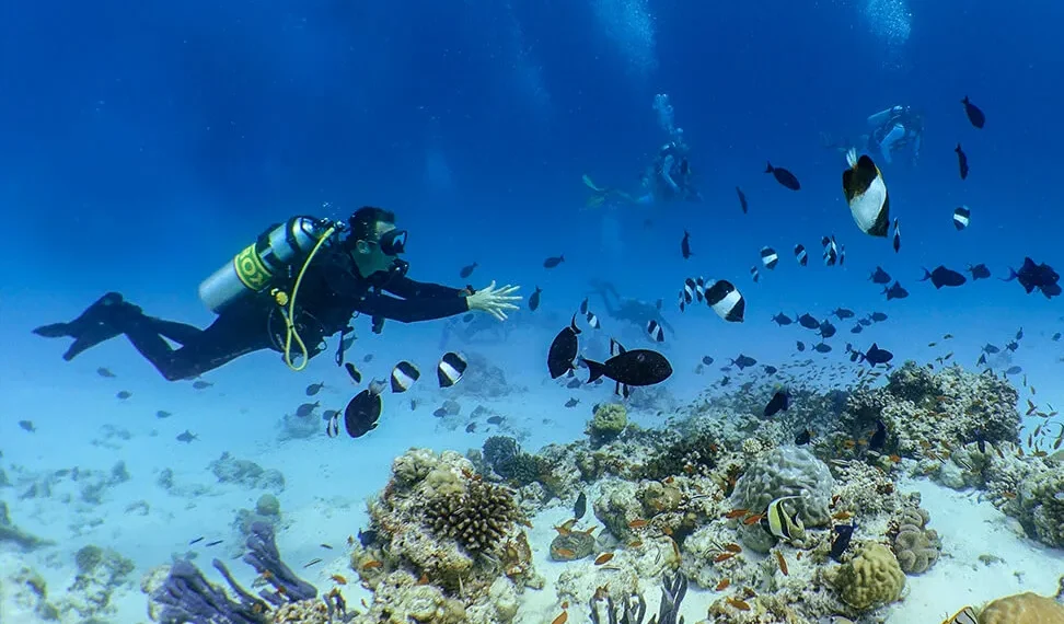 Diving Schools Drive Tourism Growth in the Maldives
