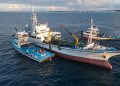 MIFCO Raises Skipjack Price to MVR 21