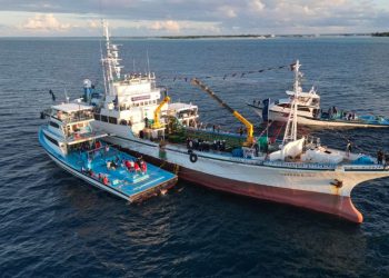 MIFCO Raises Skipjack Price to MVR 21
