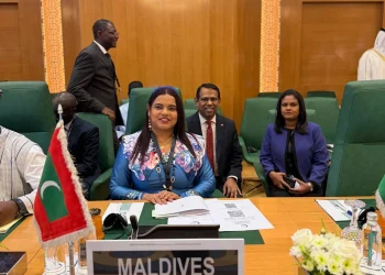 FM Urges OIC to Act Decisively on Palestine